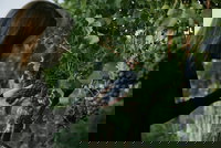 Rowlee Vine To Table Experience