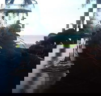 The 3844 - Pet Food Australia