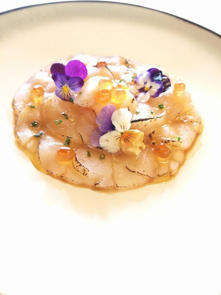 Mortlake NSW Pet Food Australia