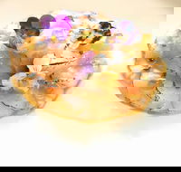 Katsumi Restaurant - Pet Food Australia