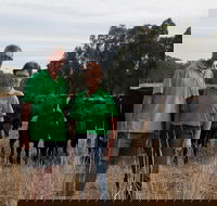 Milawa Organic Beef - Food Delivery Shop