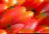 Punjab Indian Sweets and Restaurant - Mount Druitt