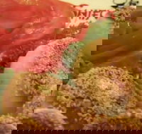 Shifu Dumpling Express - Food Delivery Shop