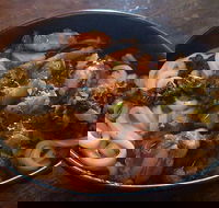 Bento - Pet Food Australia