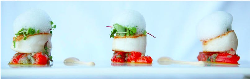 Woolwich NSW Pet Food Australia