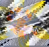 Food Business  Chapel Hill - Food Delivery Shop