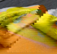 House Of Canton - Food Delivery Shop