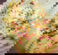 Massive Wieners - Food Delivery Shop