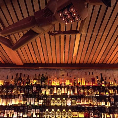 Odd Fellow - Pet Food Australia 0