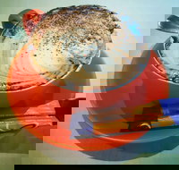 Phillips  Co - Pet Food Australia