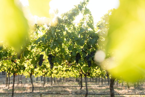 Sandalford Wines - Margaret River - Food Delivery Shop 2