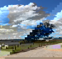 Short Sheep Micro-Winery - Pet Food Australia