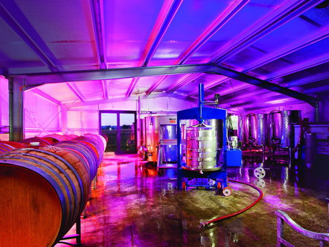 Short Sheep Micro-Winery - Food Delivery Shop 1