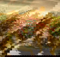 St. Hotel - Food Delivery Shop