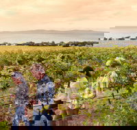 Boston Bay Wines - Food Delivery Shop