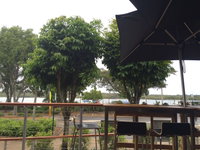 Take 5 by the river