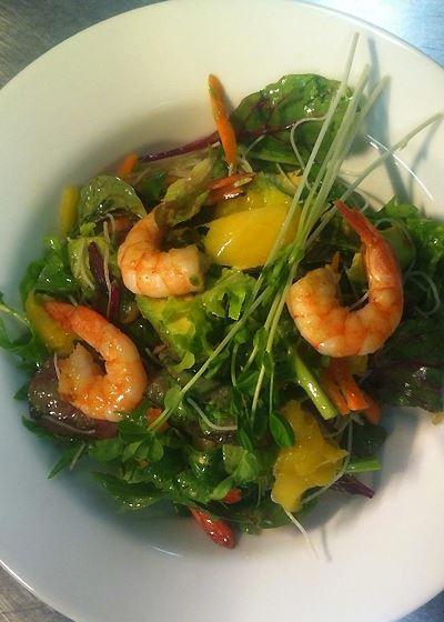 Origin India - Pet Food Australia 6