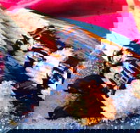 Donut King - Sunshine - Food Delivery Shop