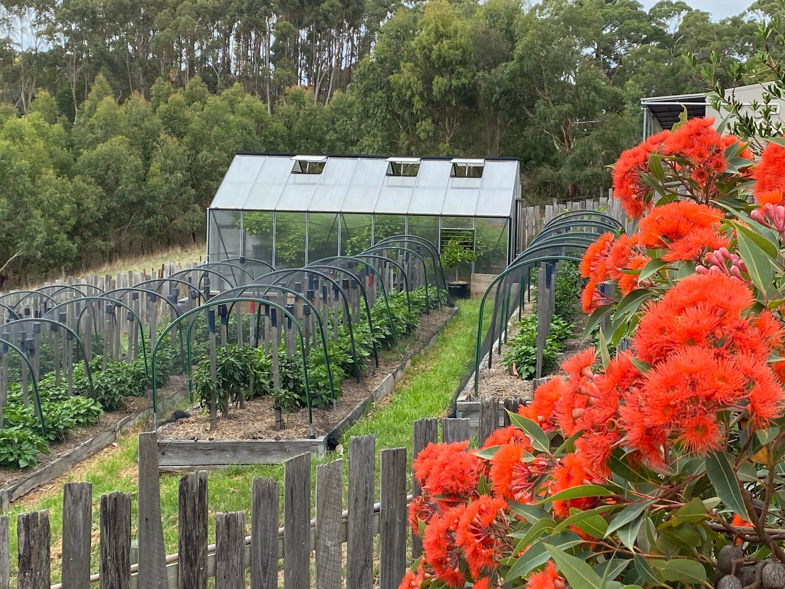 Benwerrin ACT Pet Food Australia