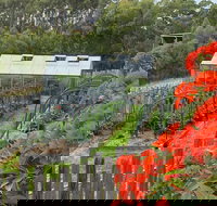 Hot Chilli Mama - Pet Food Australia