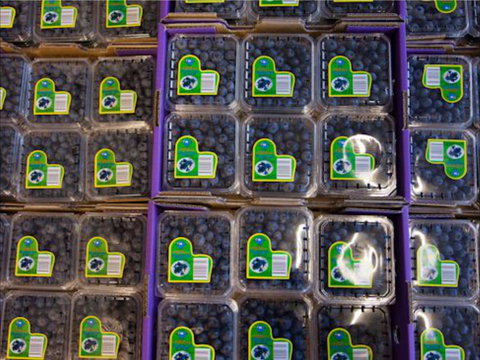 Jolly Berries - Pet Food Australia 0