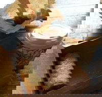 Kunara Organic Cafe - Pet Food Australia