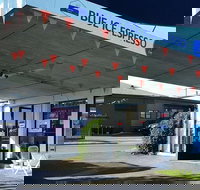 Blue Ice Espresso - Pet Food Australia