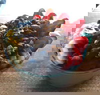 Green Remedy - Food Delivery Shop