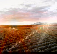 Rich Glen Olive Farm - Pet Food Australia