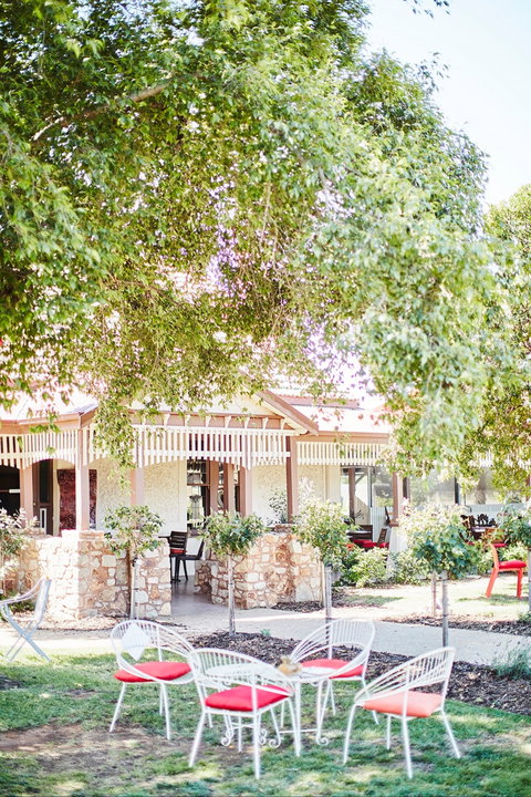 Rich Glen Olive Farm - Pet Food Australia 1