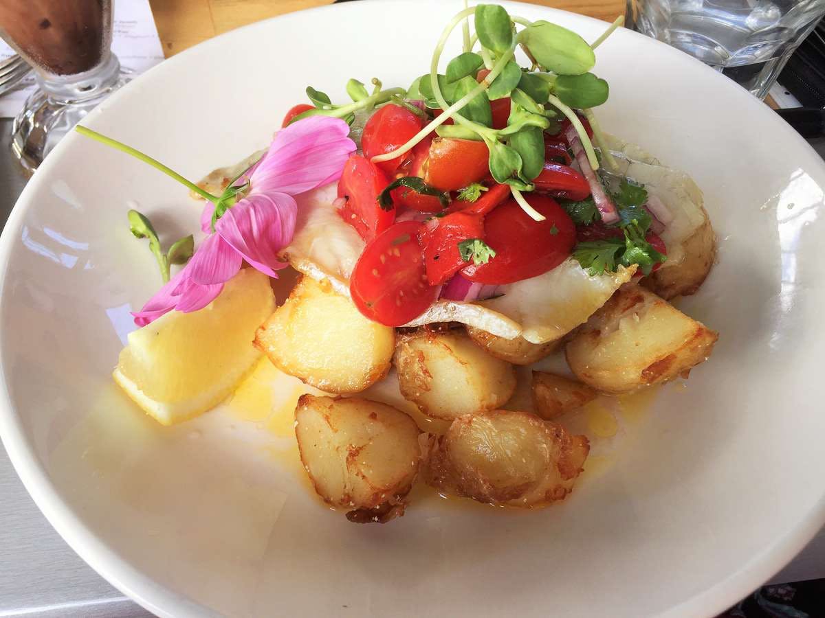 Nobbys Creek NSW Pet Food Australia