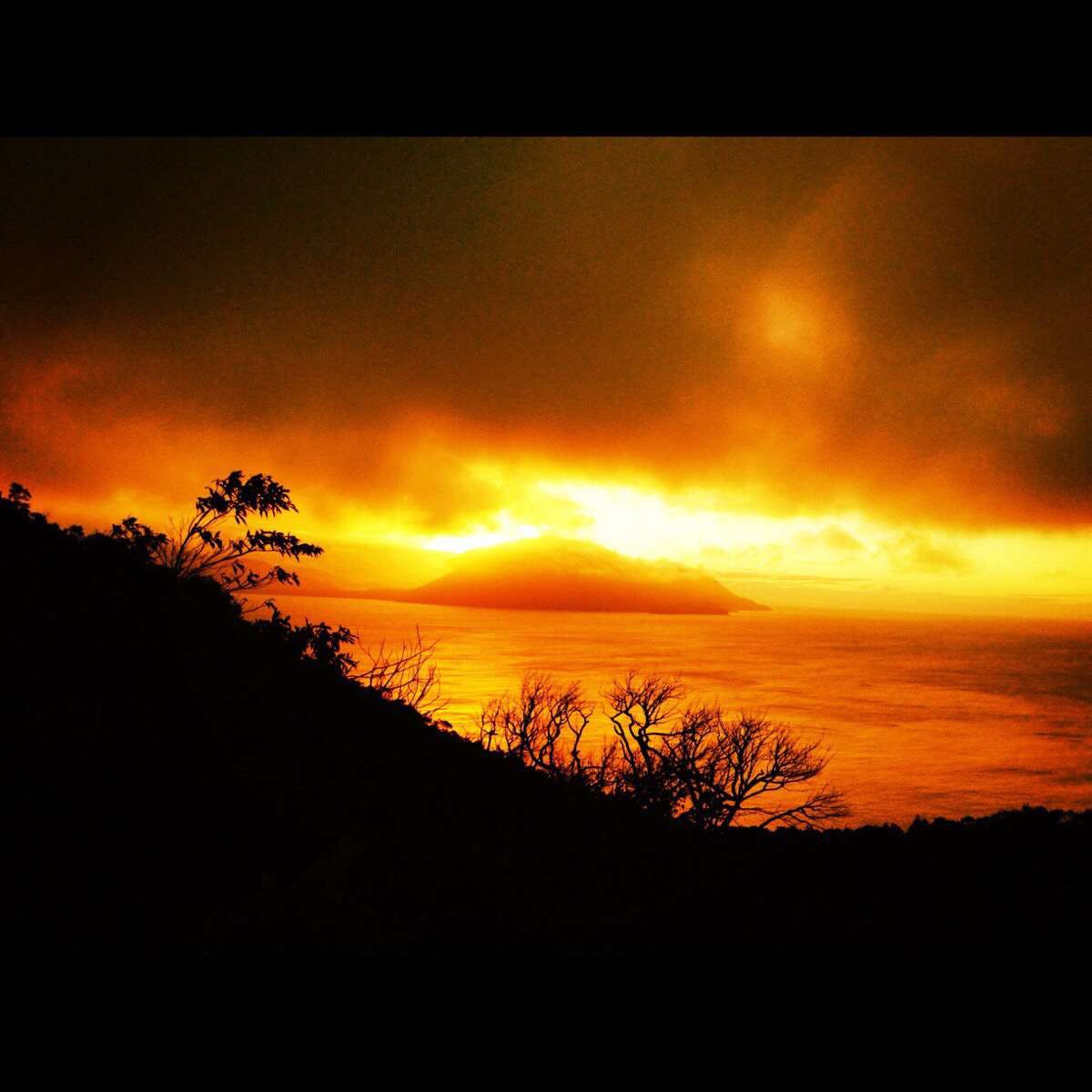 Staaten QLD Pet Food Australia