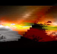 Zephyr - Pet Food Australia