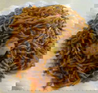 Bento Box - Pet Food Australia