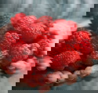 Christmas Hills Raspberry Farm Cafe - Pet Food Australia