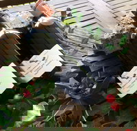 Hill of Promise Winery and Cellar Door - Pet Food Australia