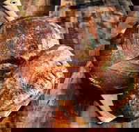 Mr Espresso - Ramsgate - Pet Food Australia