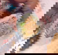 Sebastian's Food  Wine - Food Delivery Shop