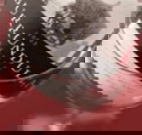 Burrundulla Vineyards - Pet Food Australia