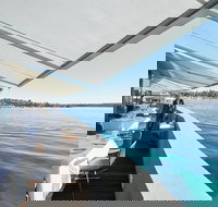 Catalina Rose Bay - Pet Food Australia