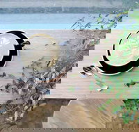 Glasshouse Hampton - Food Delivery Shop