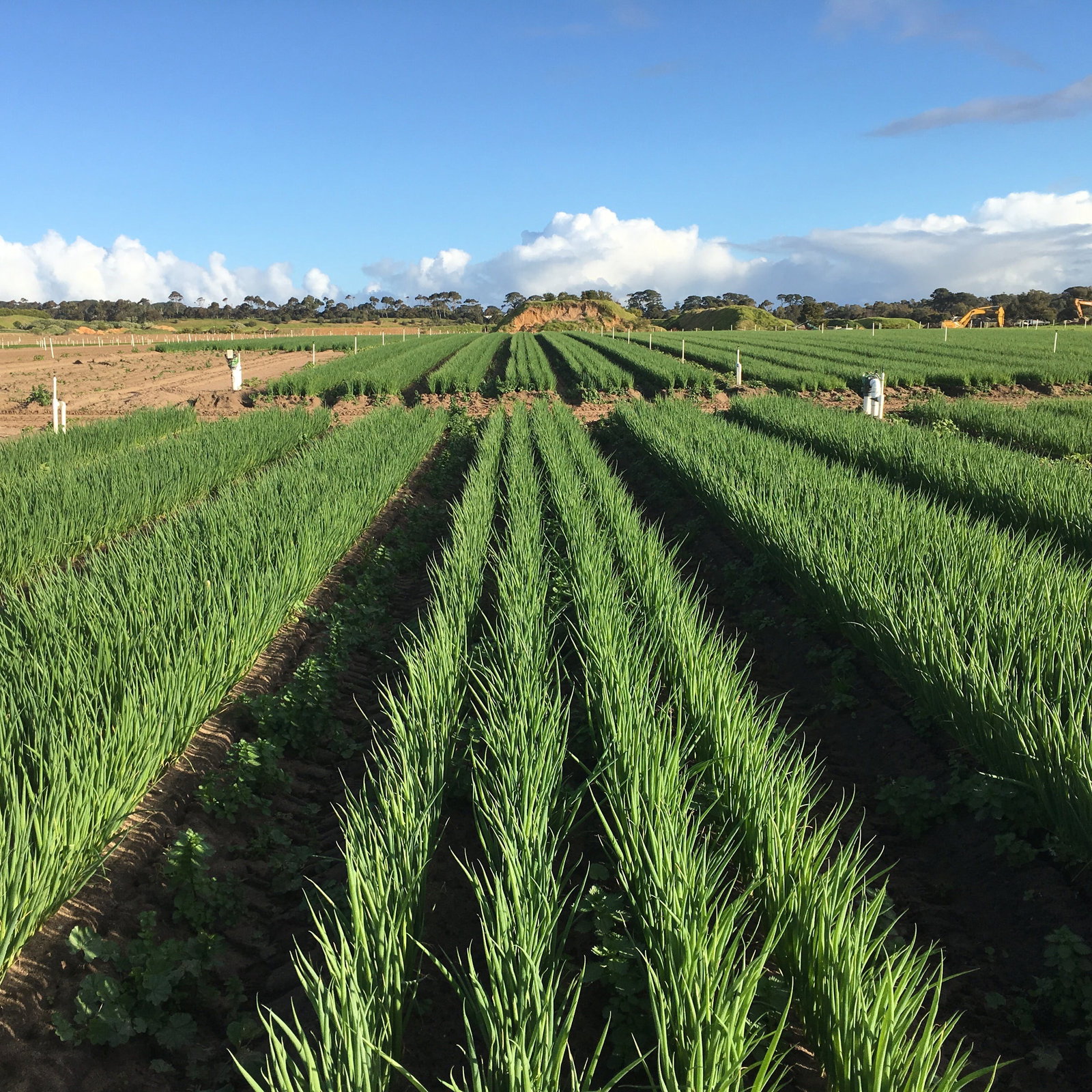 Boneo VIC Pet Food Australia