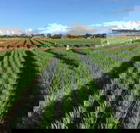 Hawkes Farm - Pet Food Australia