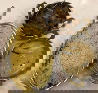 Nawab Sahab Restaurant - Tarneit - Food Delivery Shop