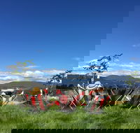 Red Feet Wines - Food Delivery Shop