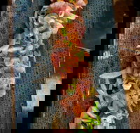 Yorokobi - Food Delivery Shop