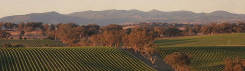 Angullong Cellar Door - Food Delivery Shop 1