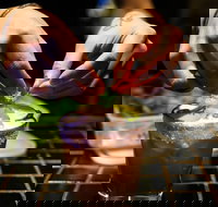 Mr Beebes - Pet Food Australia