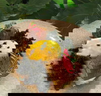 Nic and Kolo - Food Delivery Shop