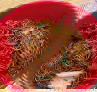 Noodle World - Food Delivery Shop